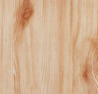 /album/drevo/d1-jpg1/