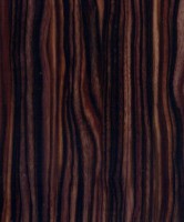 /album/drevo/d4-jpg1/