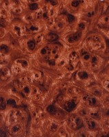 /album/drevo/d5-jpg1/