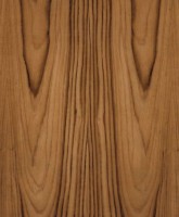 /album/drevo/d7-jpg1/