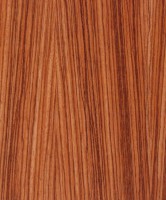 /album/drevo/d8-jpg1/