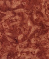 /album/drevo/d9-jpg1/