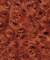 /album/drevo/d10-jpg1/