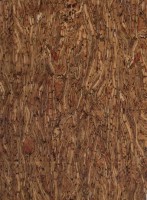 /album/drevo/d11-jpg1/