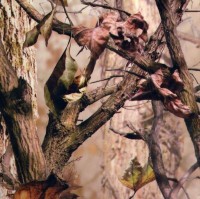 /album/kamuflaz/kf13-jpg/