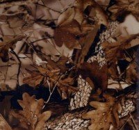 /album/kamuflaz/kf14-jpg/