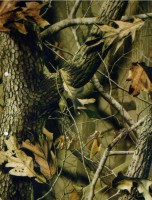 /album/kamuflaz/kf15-jpg/