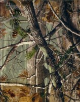 /album/kamuflaz/kf19-jpg/