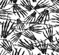 /album/lebky/l29-jpg/