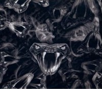 /album/lebky/l30-jpg/