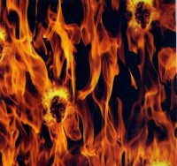 /album/lebky/l31-jpg/