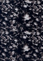 /album/lebky/l35-jpg/